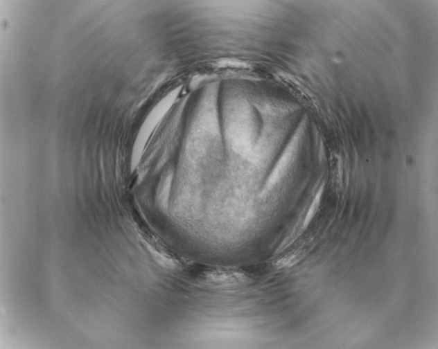 X0000088600712200706151801