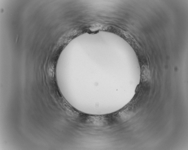 X0000088600713200706151801