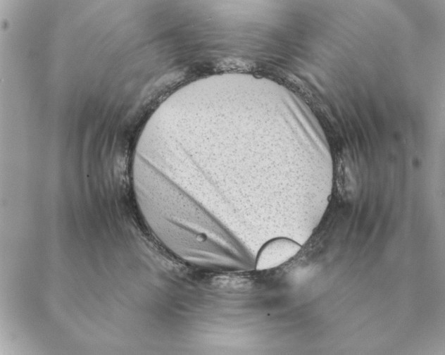 X0000088600714200706151801