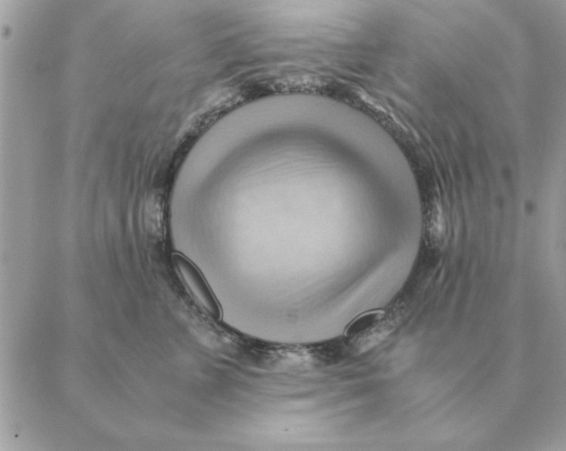 X0000088600715200706151801