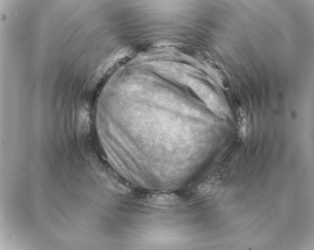 X0000088600716200706151801