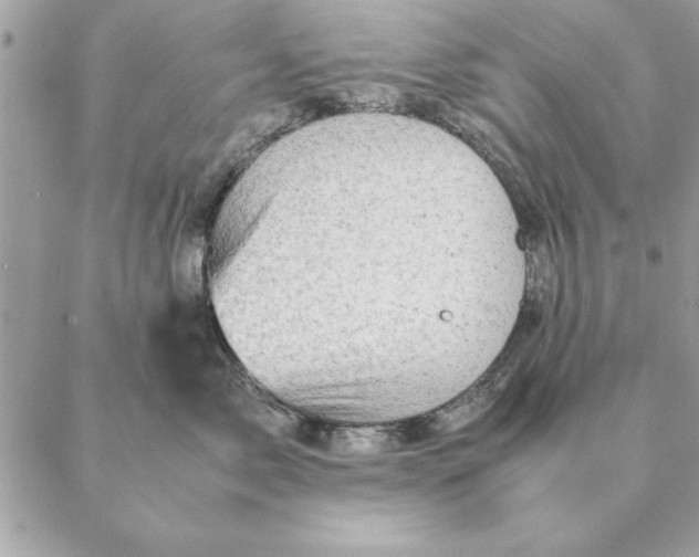 X0000088600717200706151801