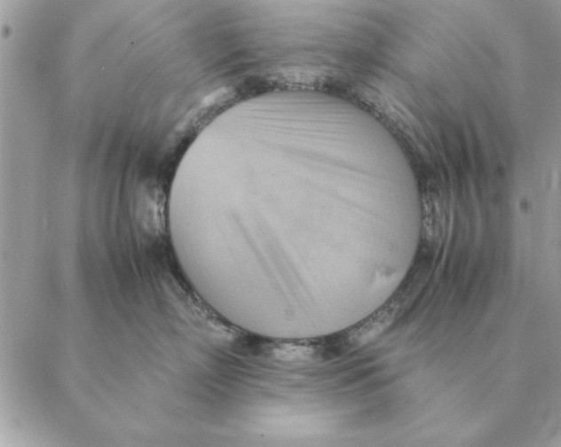 X0000088600718200706151801