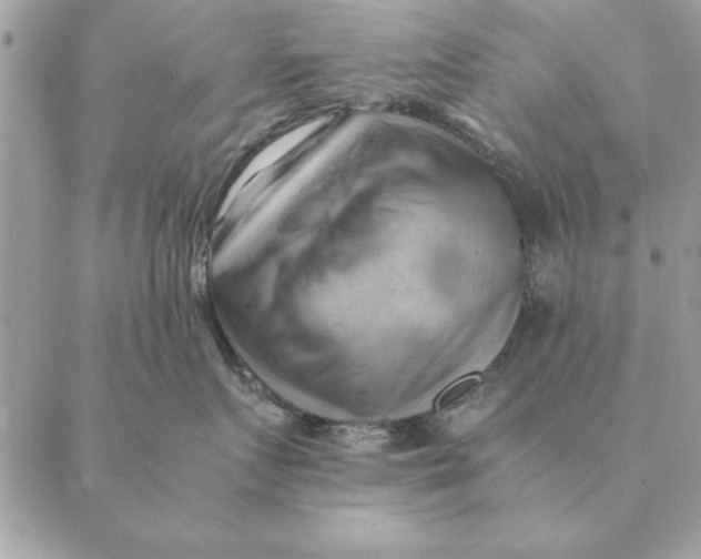 X0000088600719200706151801