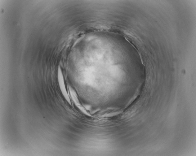 X0000088600720200706151801