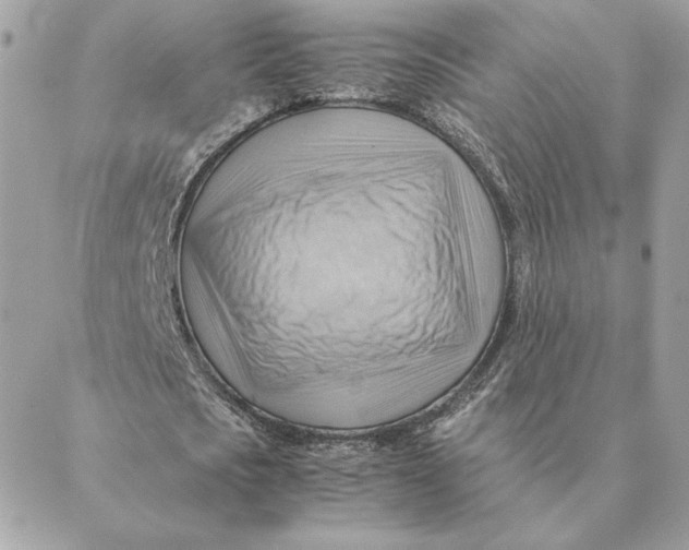 X0000088600721200706151800