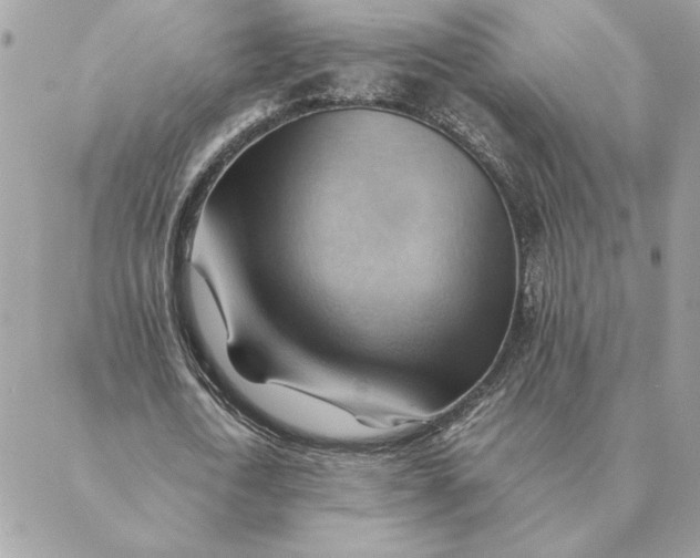 X0000088600722200706151800