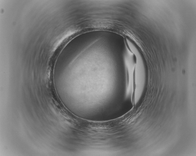 X0000088600723200706151800