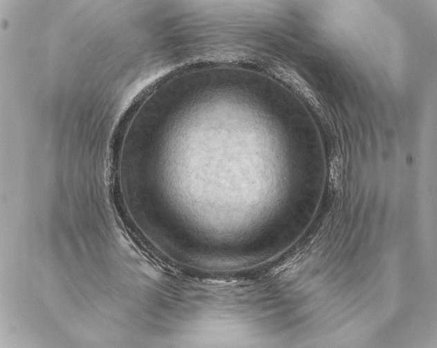 X0000088600724200706151800