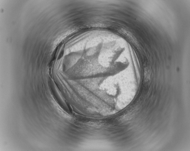 X0000088600725200706151800