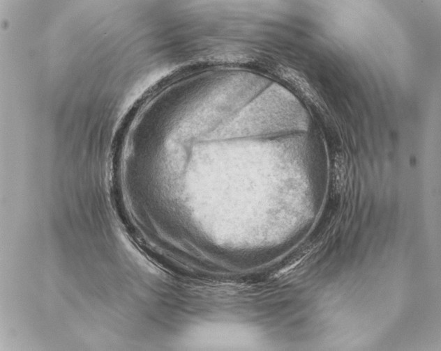 X0000088600726200706151800