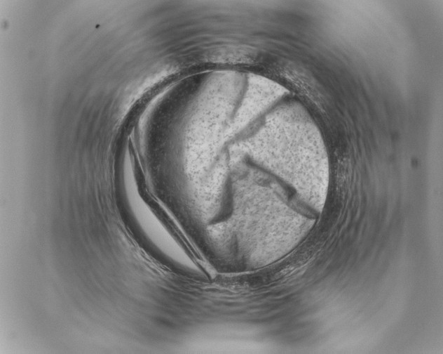 X0000088600727200706151800