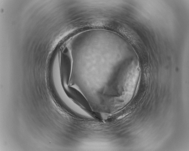 X0000088600728200706151800