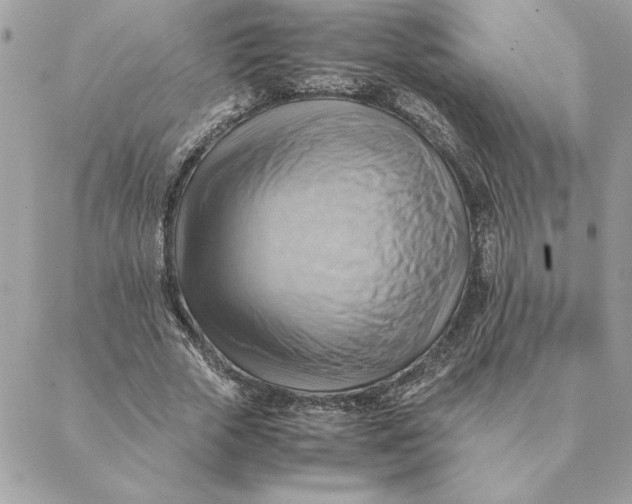 X0000088600729200706151800