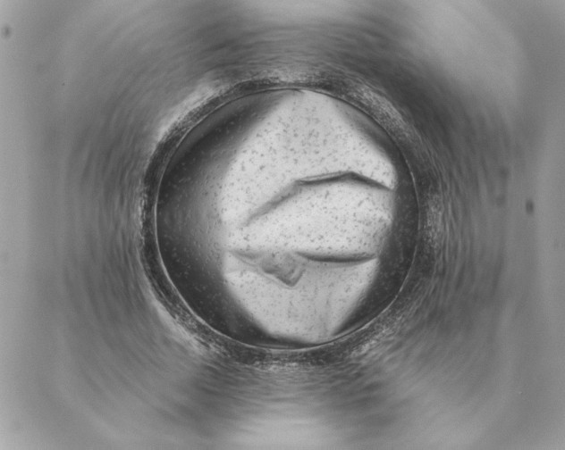 X0000088600730200706151801