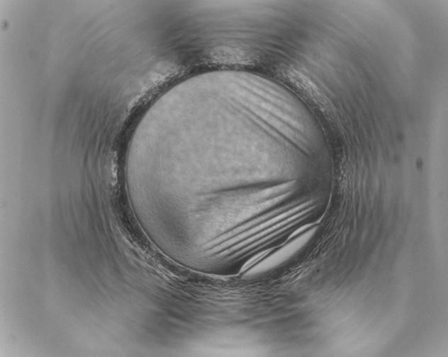 X0000088600731200706151801