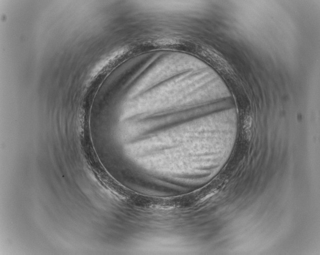 X0000088600732200706151801