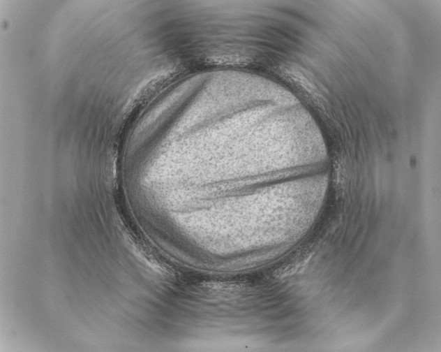 X0000088600733200706151801