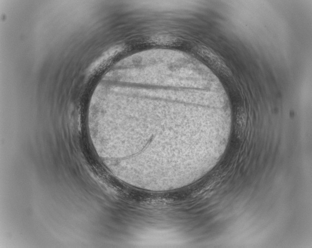 X0000088600734200706151801