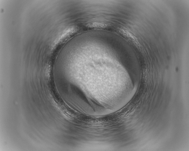 X0000088600735200706151801