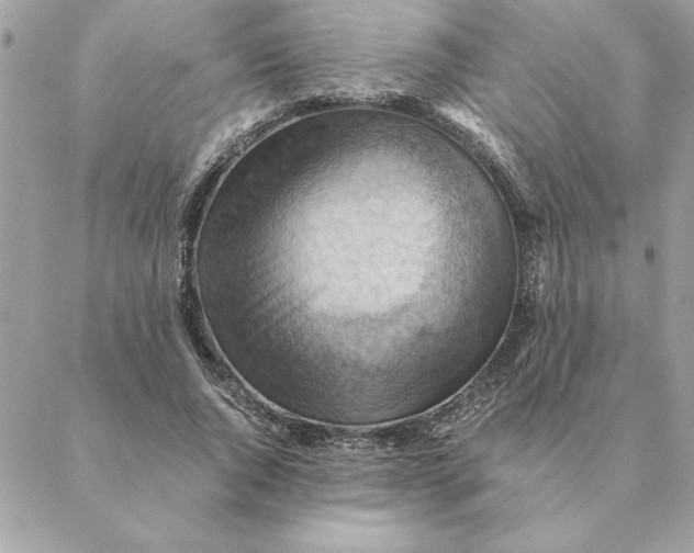 X0000088600736200706151801