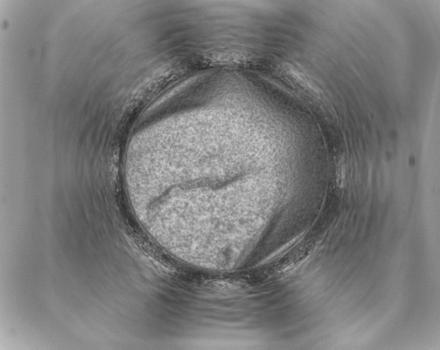 X0000088600737200706151801