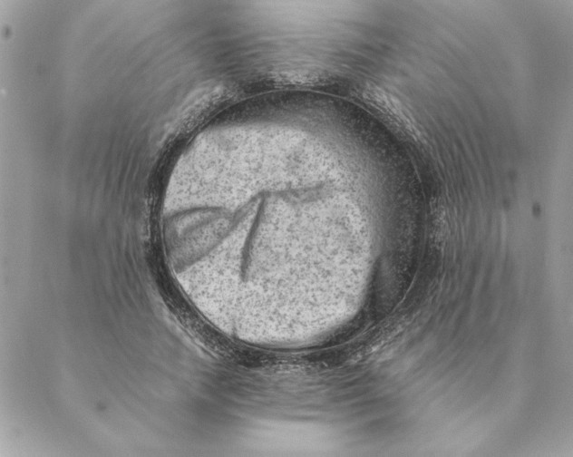 X0000088600738200706151801