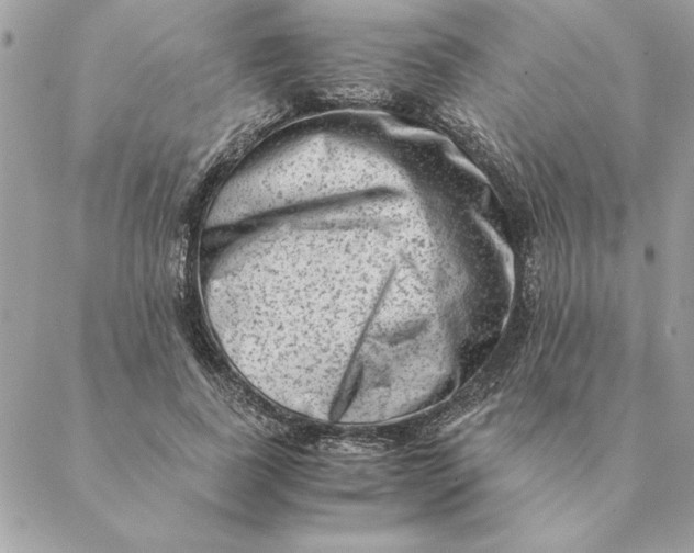 X0000088600739200706151801