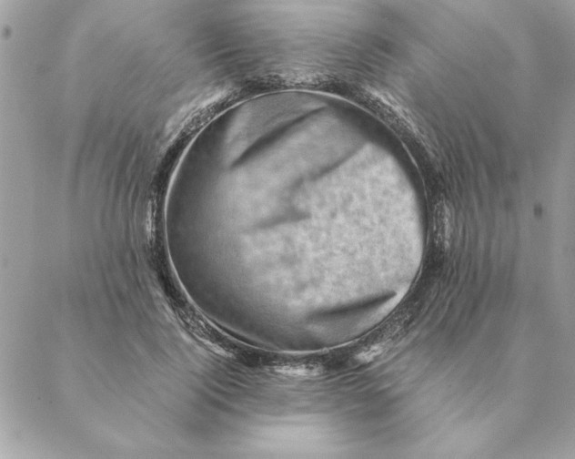 X0000088600740200706151801