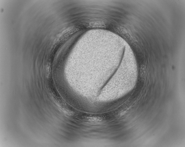 X0000088600741200706151801