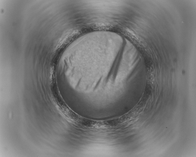 X0000088600742200706151801