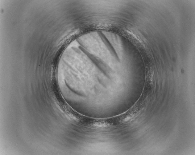 X0000088600744200706151801