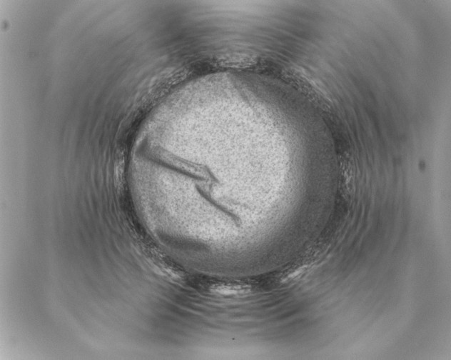 X0000088600745200706151801