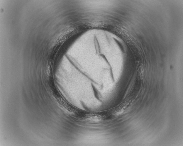 X0000088600746200706151801