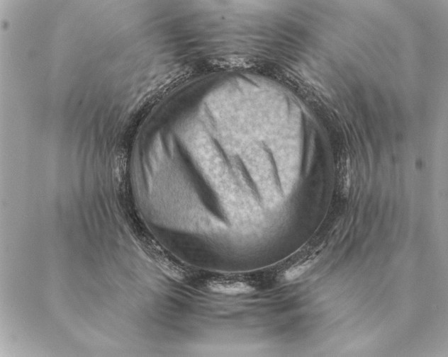 X0000088600747200706151801