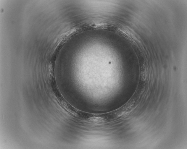 X0000088600748200706151801