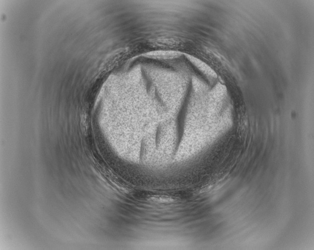 X0000088600749200706151801