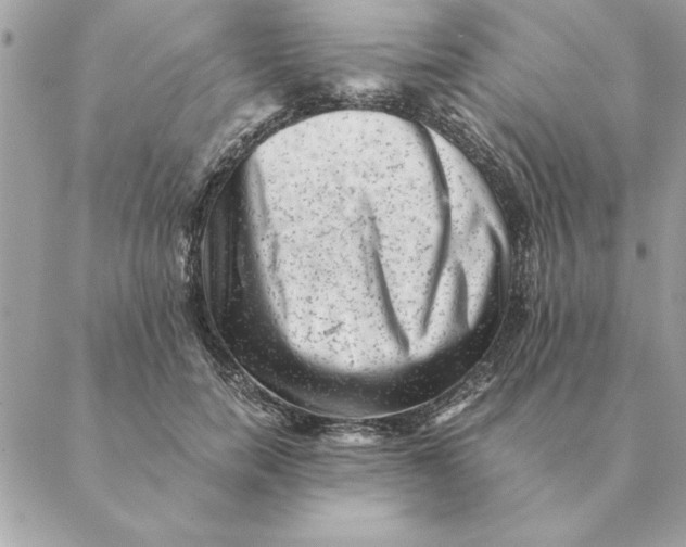 X0000088600750200706151801