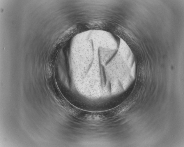 X0000088600751200706151801