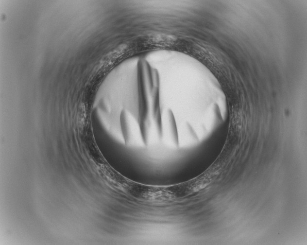 X0000088600752200706151801