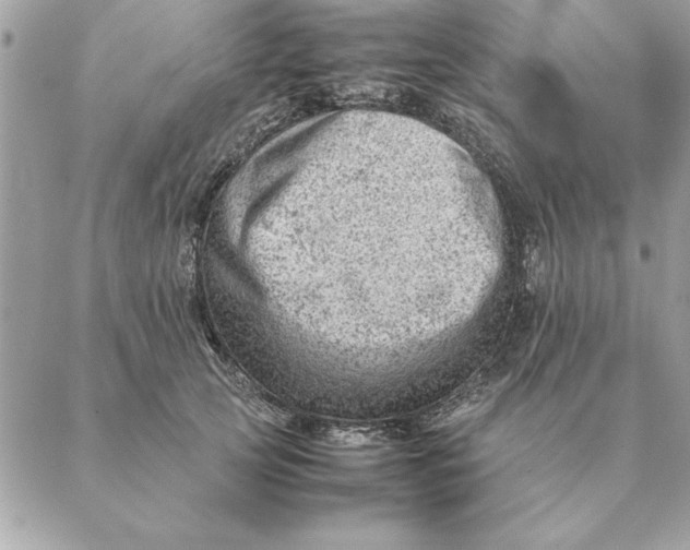 X0000088600753200706151801