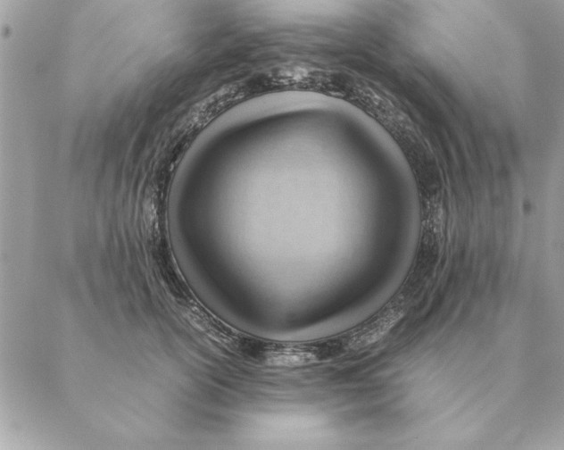 X0000088600754200706151801