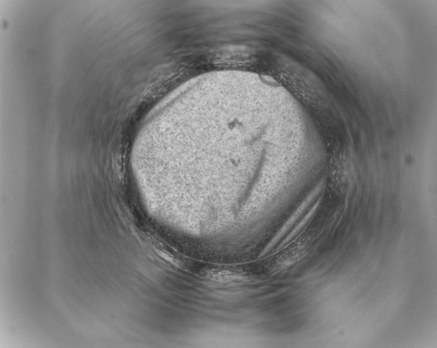 X0000088600755200706151801