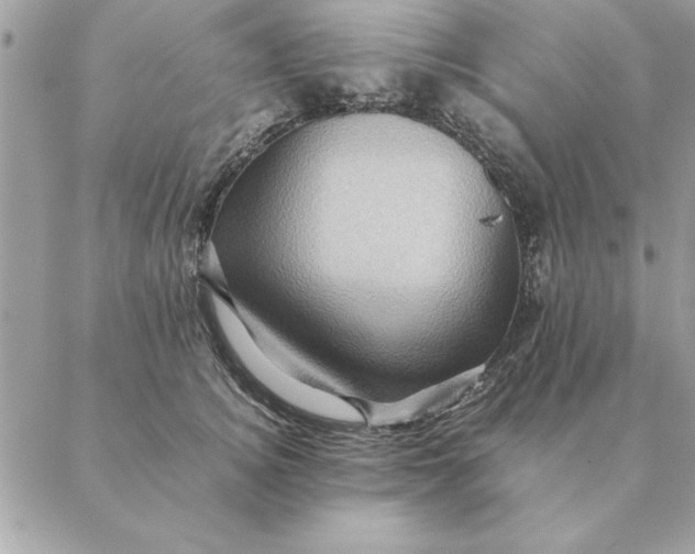 X0000088600756200706151801