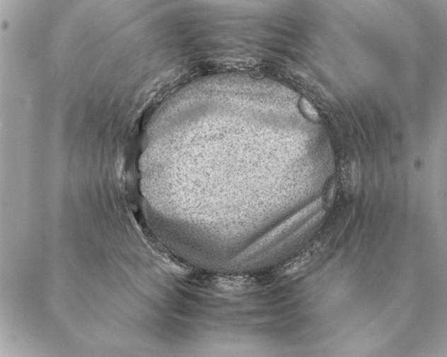 X0000088600757200706151801