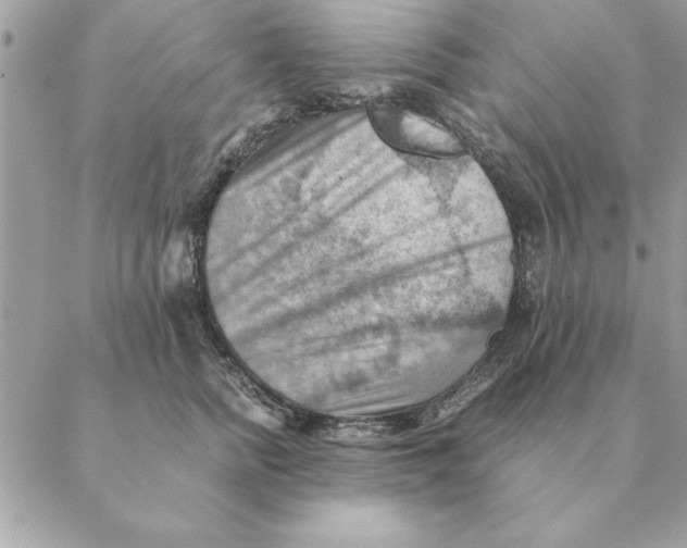 X0000088600758200706151801