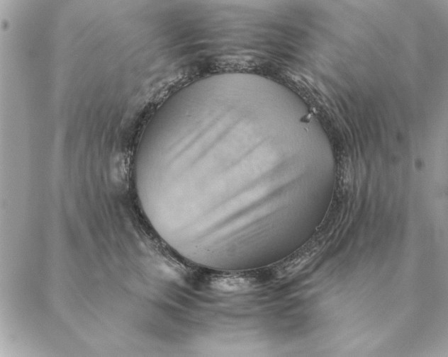 X0000088600759200706151801