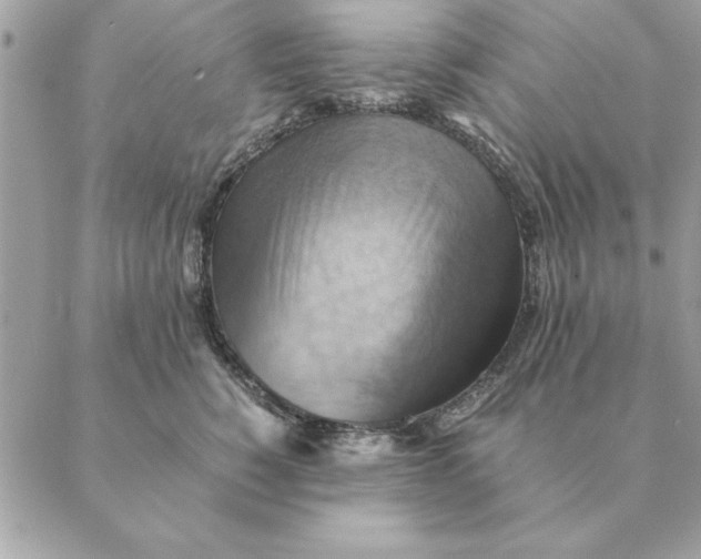 X0000088600760200706151801