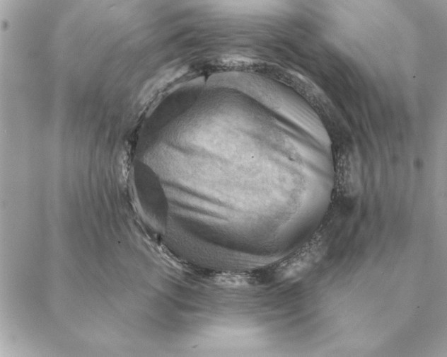 X0000088600762200706151801