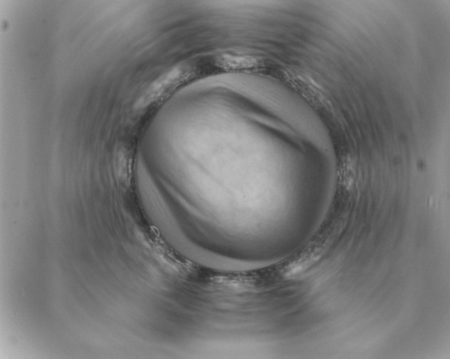 X0000088600763200706151801